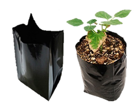Bolsas de polietileno para Almácigos